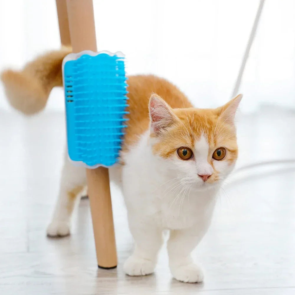 Cat Corner Brush Massager