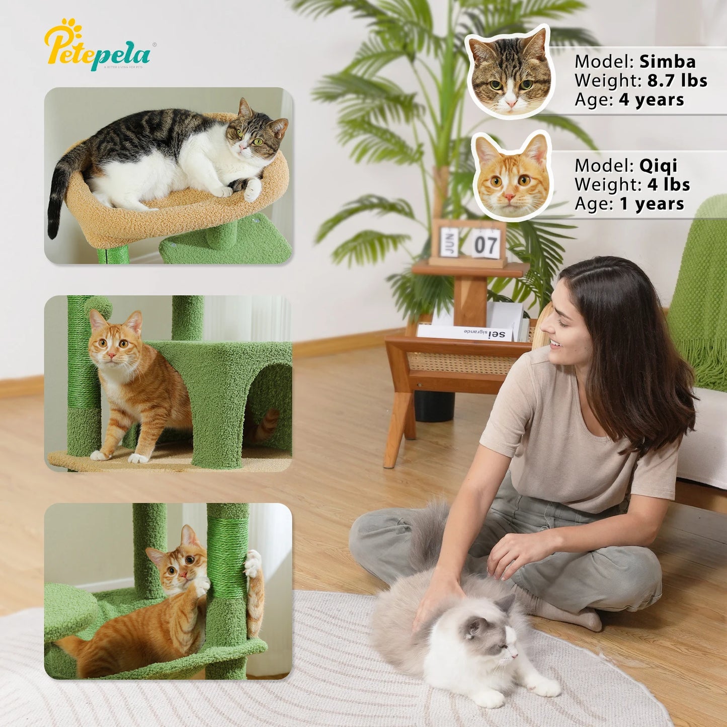 Loft Retreat Cat Tower